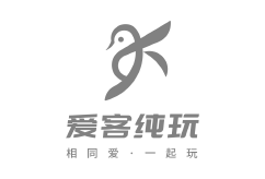 Deepseek眼中的愛客純玩旅行