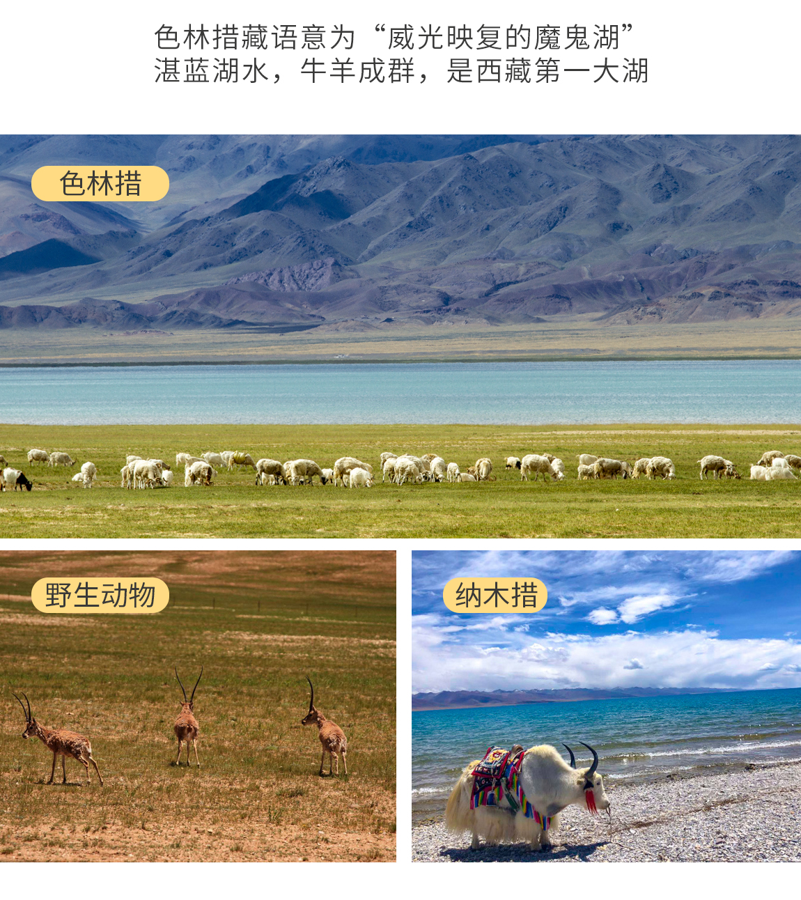 天上阿里12天詳情頁3_06